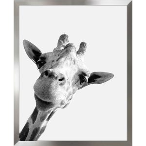 Képek, Tükrök - ARS LONGA Obraz giraffe 43x53 - ARS-15-29-201-6077  