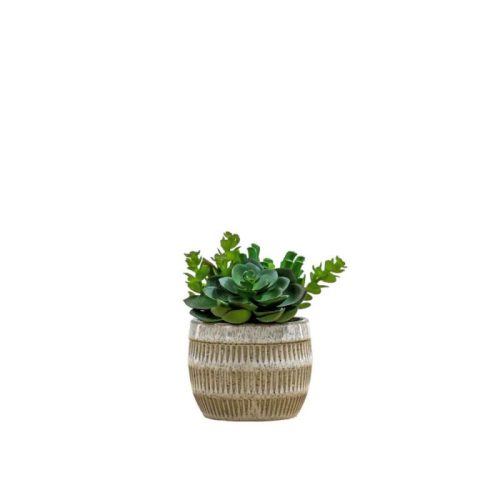 Endon Potted Succulents Ceramic Pot Green Brown H140mm - ED-5059413694455