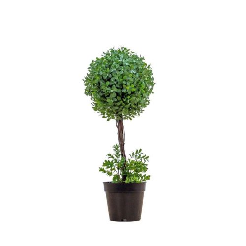 Endon Potted Buxus Ball Light Green 250x250x600mm - ED-5059413694523