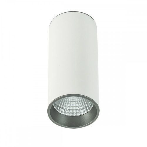 Italux Moldes Big WH/GR Ceiling 3000K - IT-SLC7392/12W 3000K WH+GR /KIFUTÓ!!/