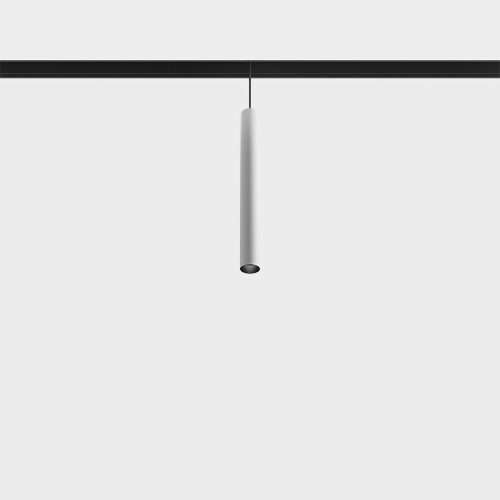 Suspended luminaire IN_LINE TUB S P 200, D30mm, H200mm, CREE LED 8W, 558Lm, 3000K, 50fok, CRI>90, 2 wired, DIM DALI, IP20, white color